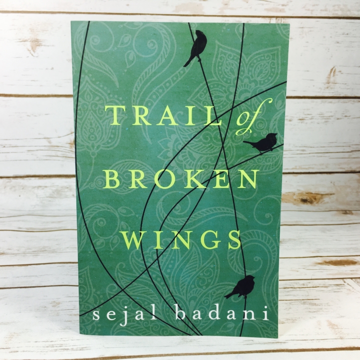 Trail of Broken Wings By Sejal Badani