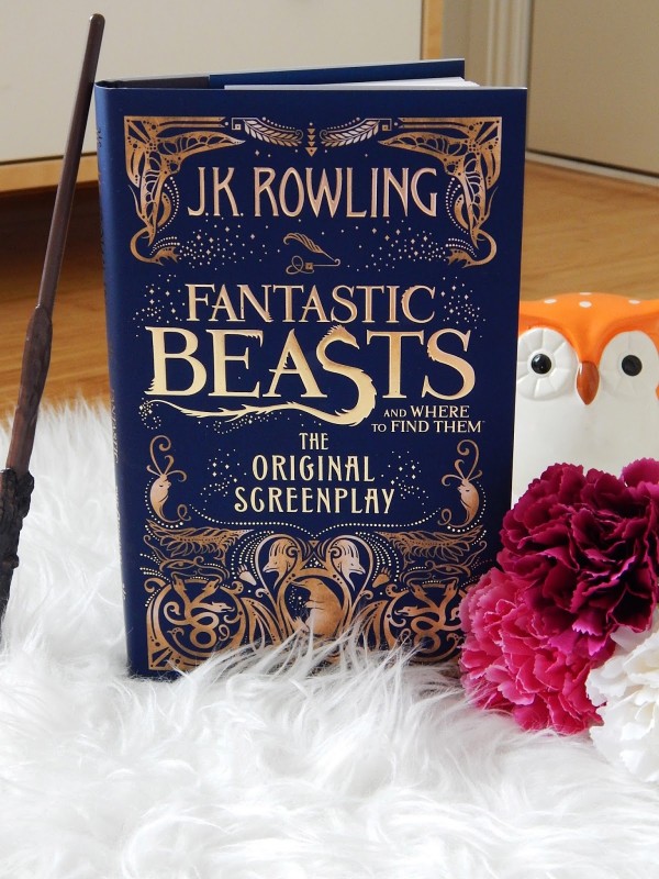 fantastic beasts and where to find them screenplay